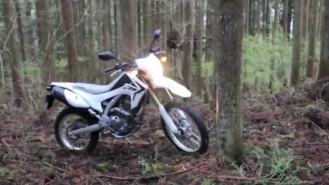 DirtSports CRF250L-FAST impression