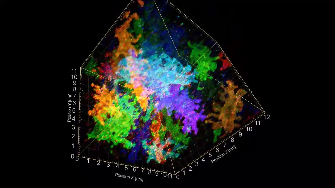 Another 3-D visualization of Brainbow mouse hippocampus