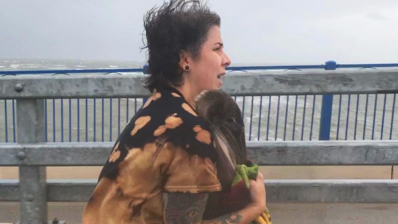 Woman Rescues Stranded Pelicans in Hurricane Dorian