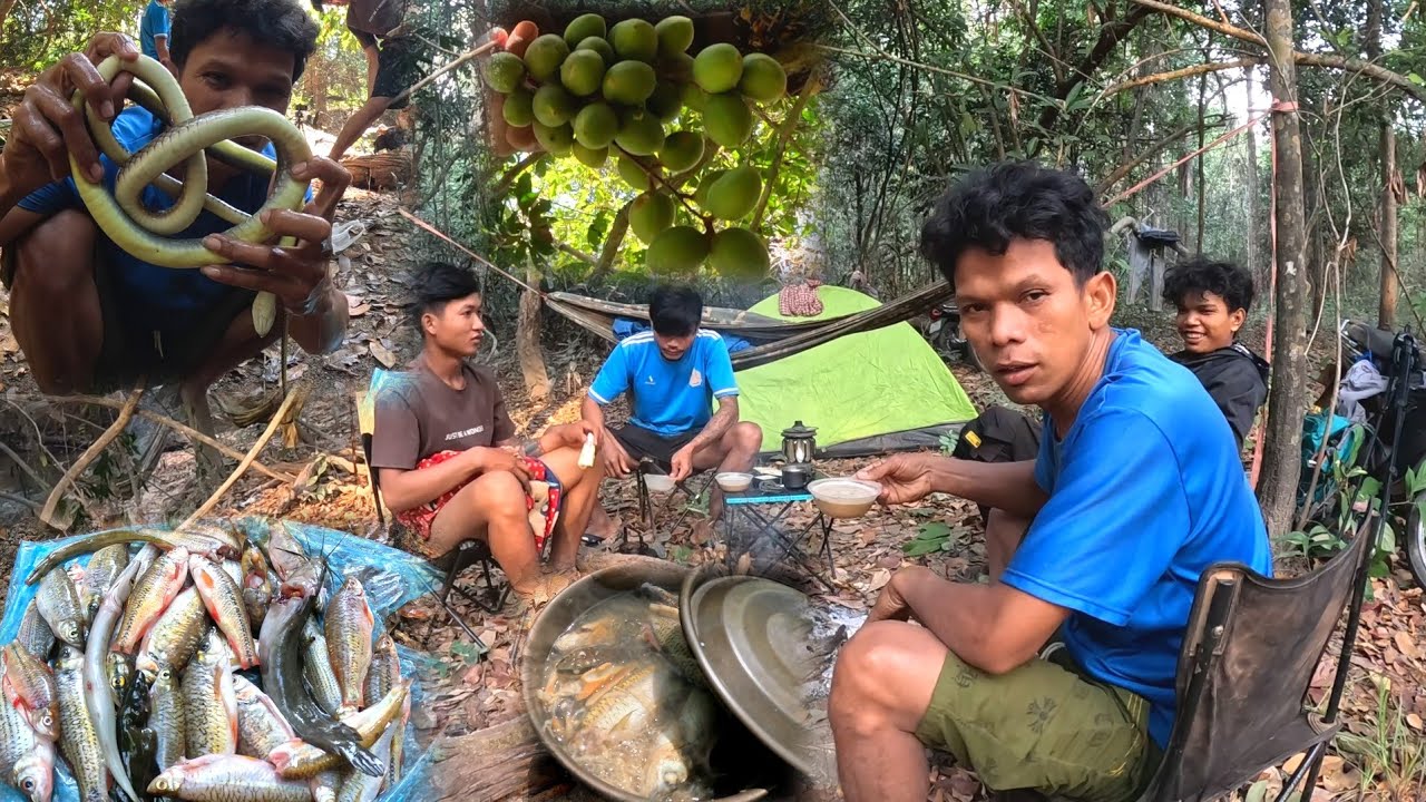 ថ្ងៃទីពីដាក់មងបានត្រីបានពស់ច្រើនណាស់បងប្អូនអើយ February 16, 2026