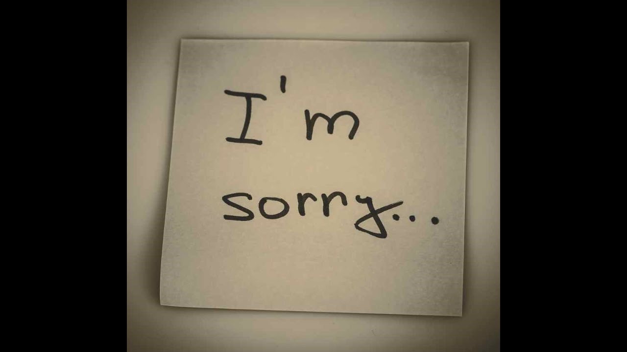 I'm sorry [Official audio]