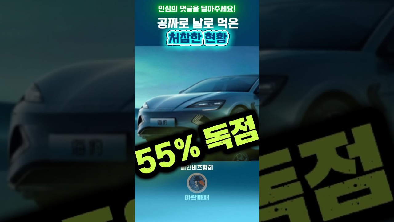 📉한국이 30년 동안 피땀 흘려 장악한 시장, 중국이 공짜로 날로 먹은 처참한 근황