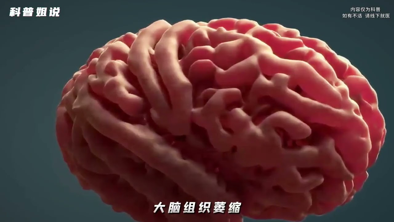 一口氣瞭解，我們大腦的結構與運作！ #大腦 #文明 #科普 #生命科學 #腦神經