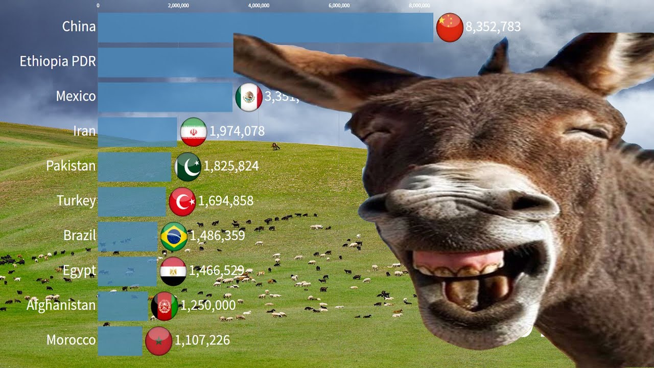 Top countries with Donkey Population | Data analysis