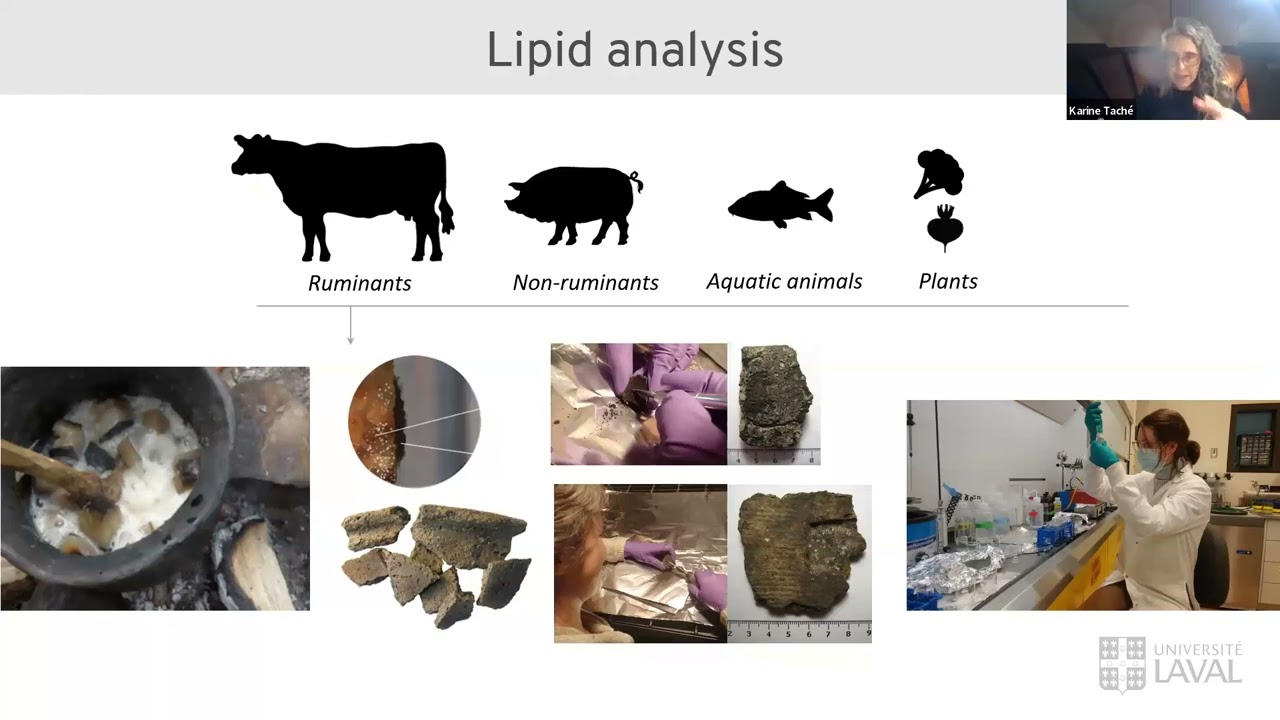 Contributions of Lipid Residue Analysis to the Study of Woodland Pottery Uses in NE North America