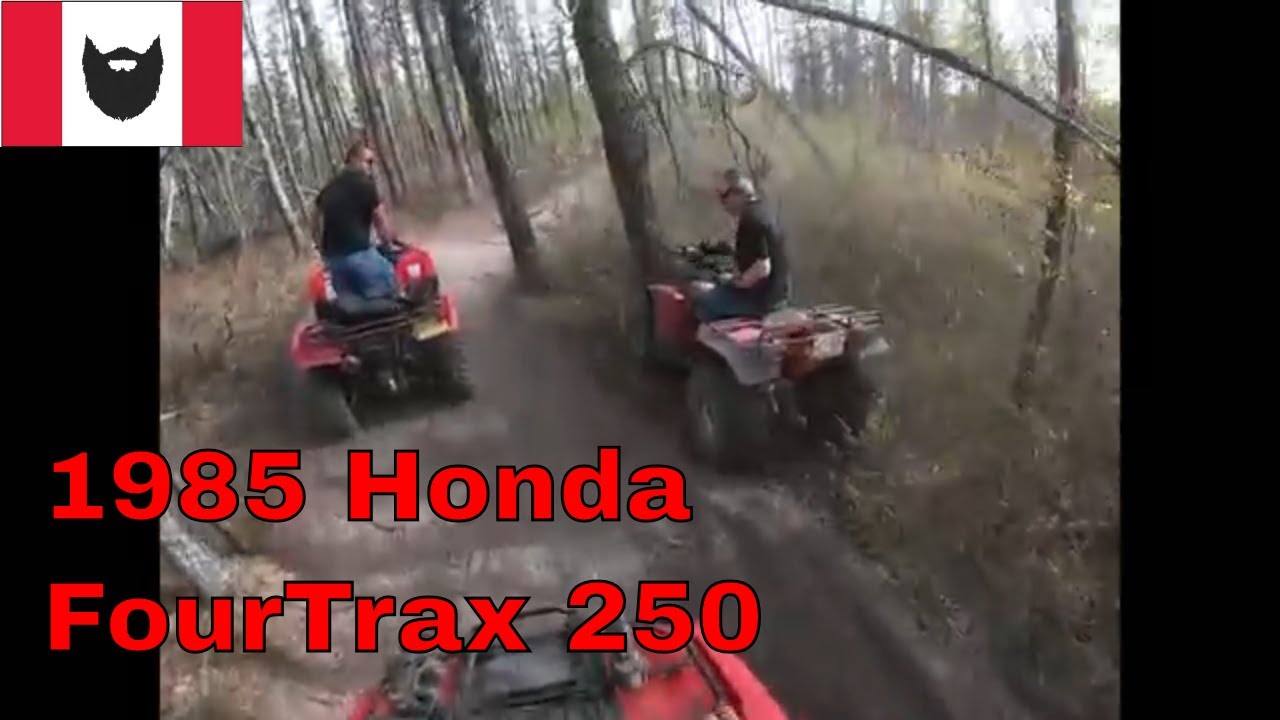 Crashing 1985 Honda FourTrax 250 Into Tree | Fixing it like rednecks