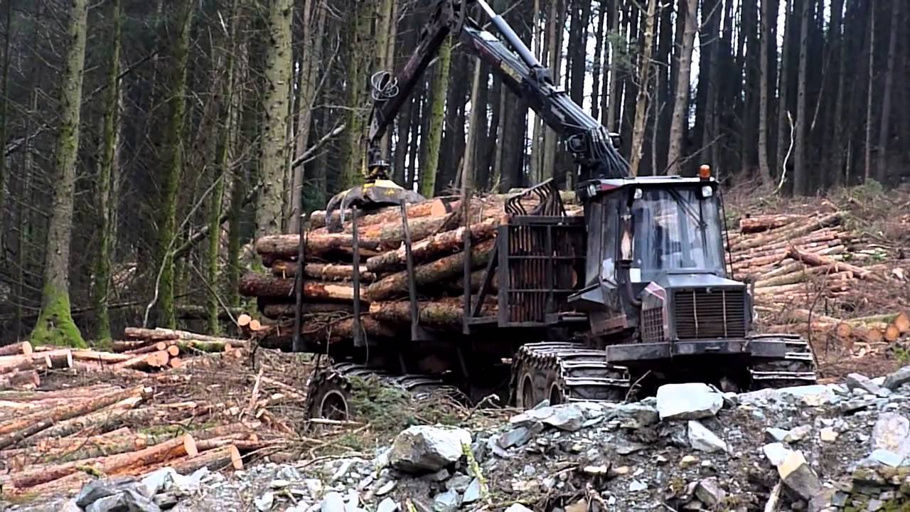 Forestry Operations Carradale ARGYLL