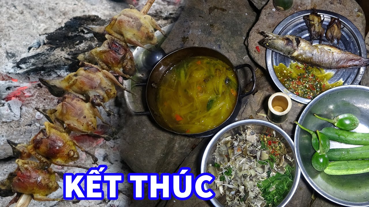SĂN GÀ RỪNG, NGỦ RỪNG, TRẢI NGHIỆM HOANG DÃ | T20