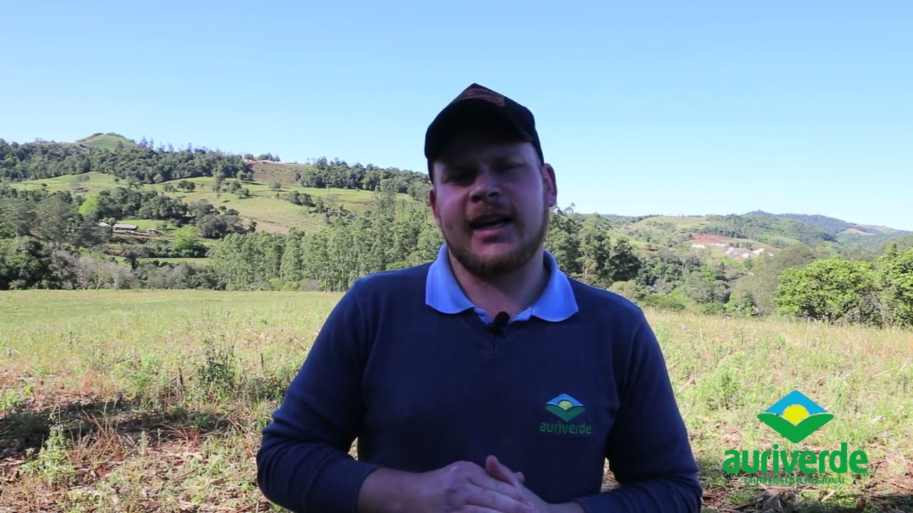 Desseca&ccedil;&atilde;o pr&eacute; plantio da cultura do milho, manejo de plantas daninhas resistente ao Glifosato.