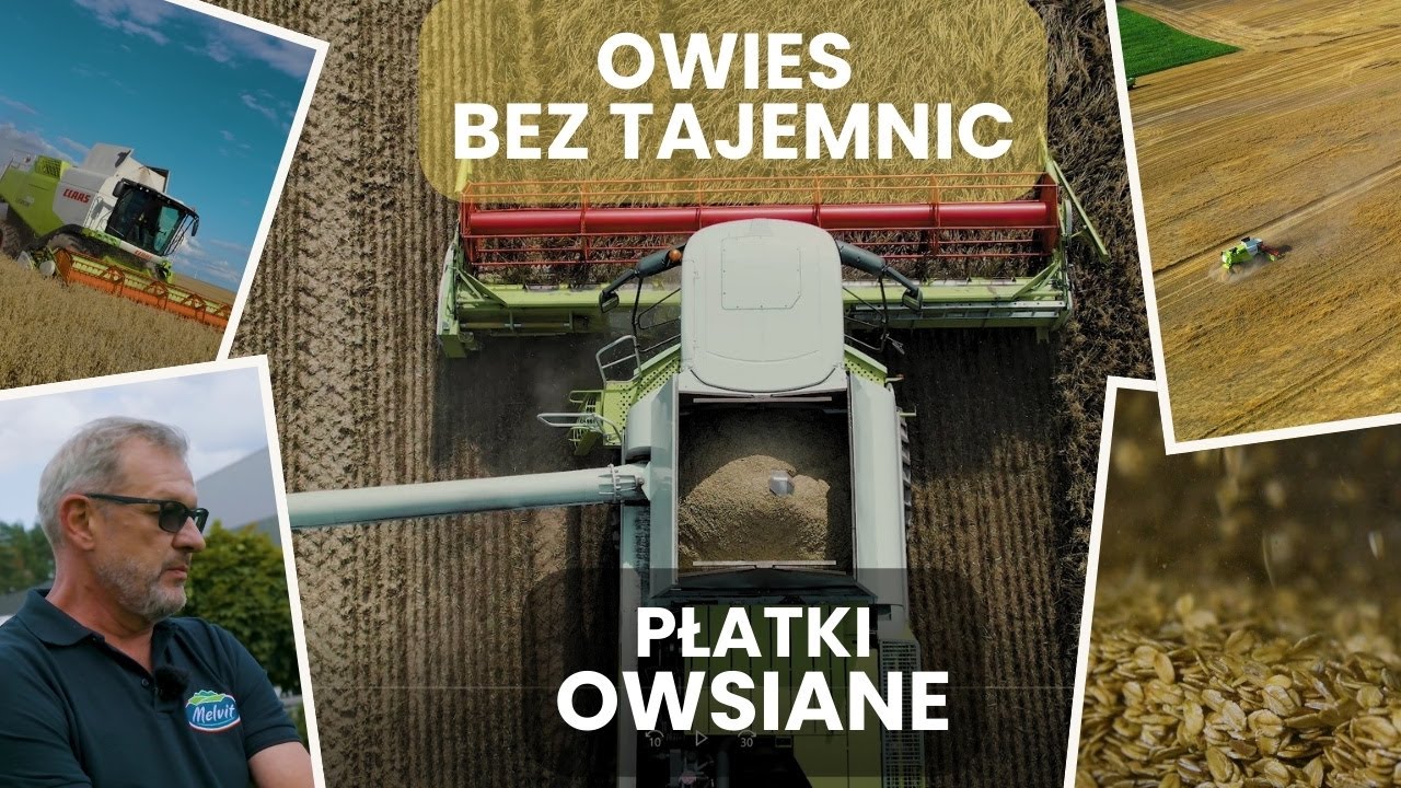 Polska największym producentem owsa w Europie?! Jak powstają płatki owsiane? e-pole