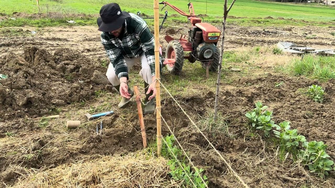 Lavoro 100m2 di terra a mano 