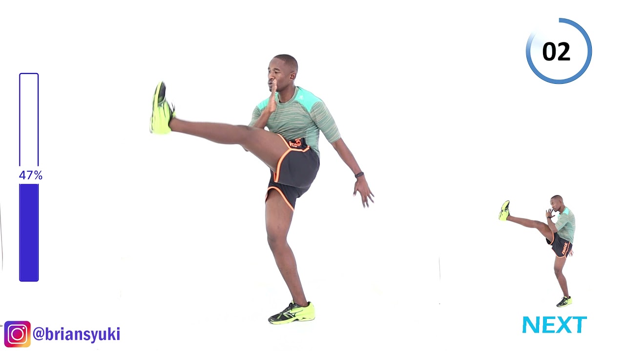 20 Minute Love Handles Shredder Workout/ Low Impact Fat Burning Workout