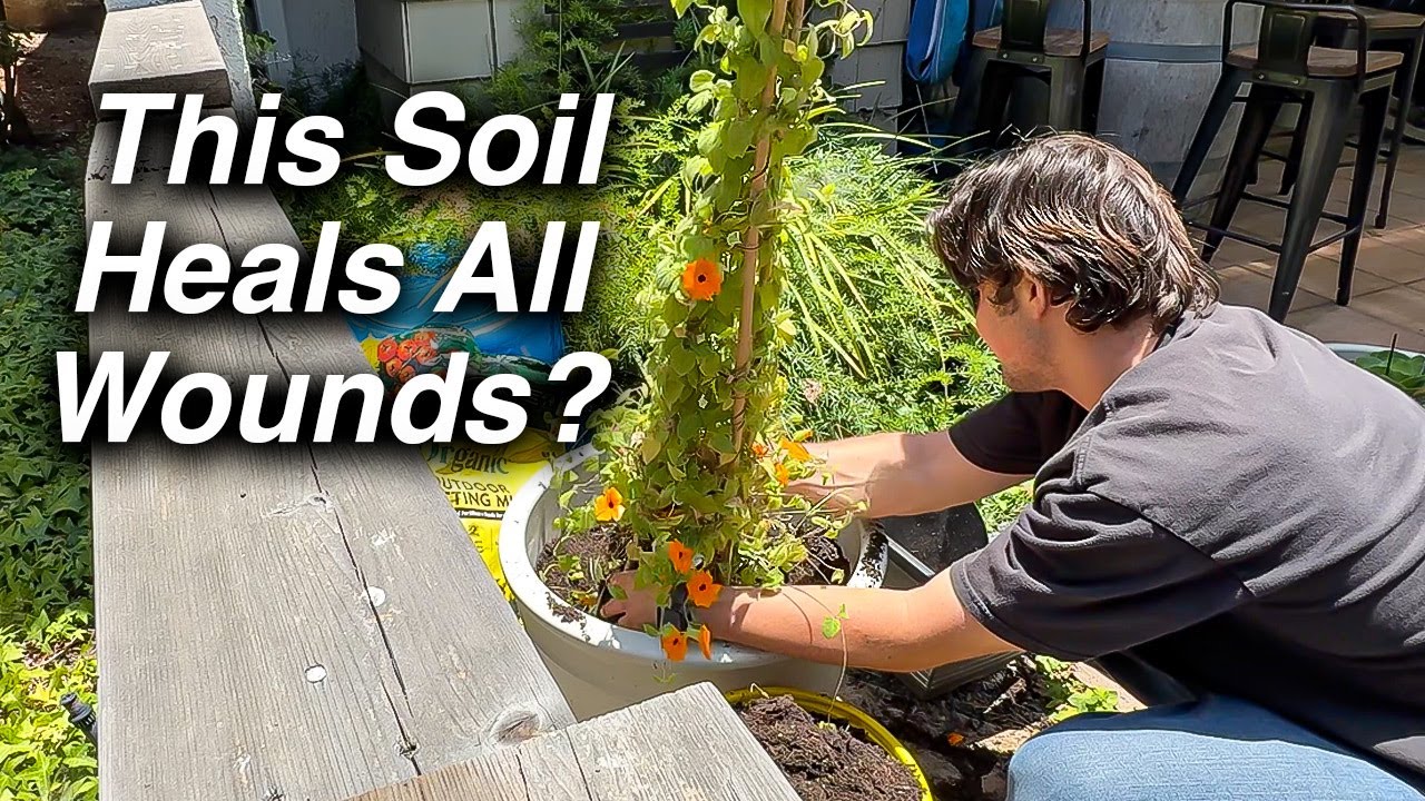 Nobody Knows These Epic Garden Facts!