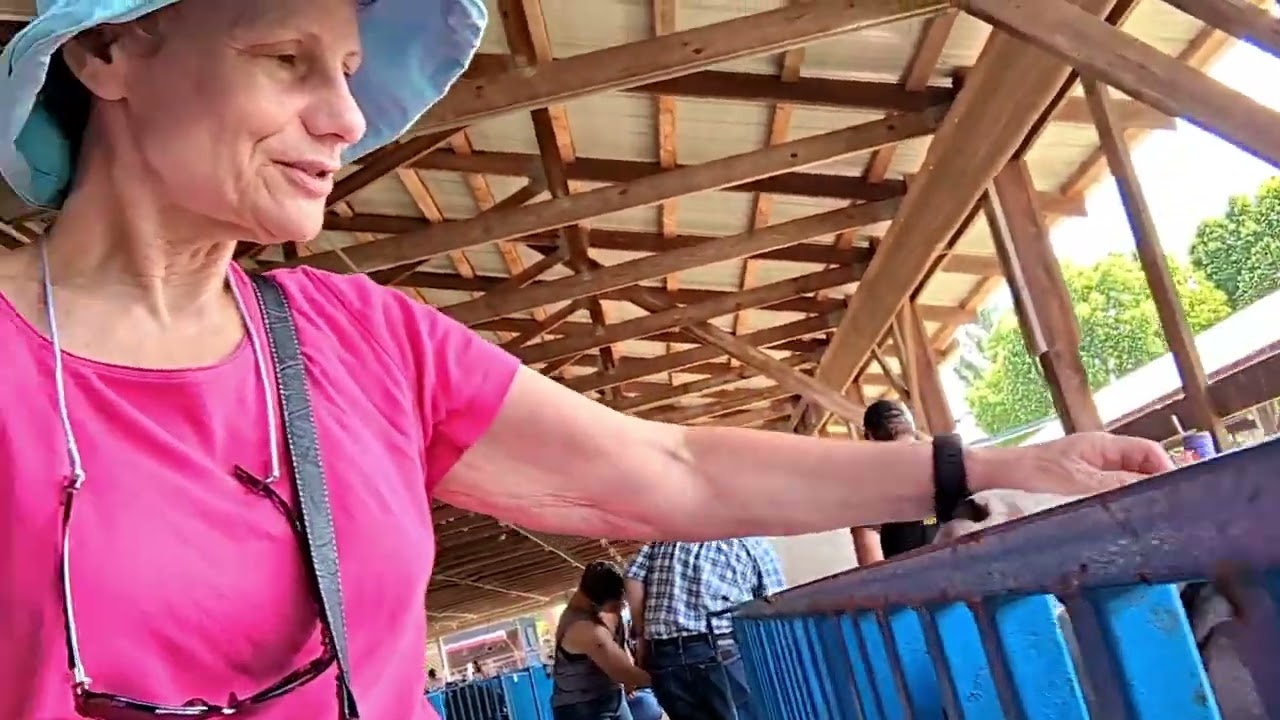 NJ State Fair at Sussex County Fairgrounds  August 7, 2022