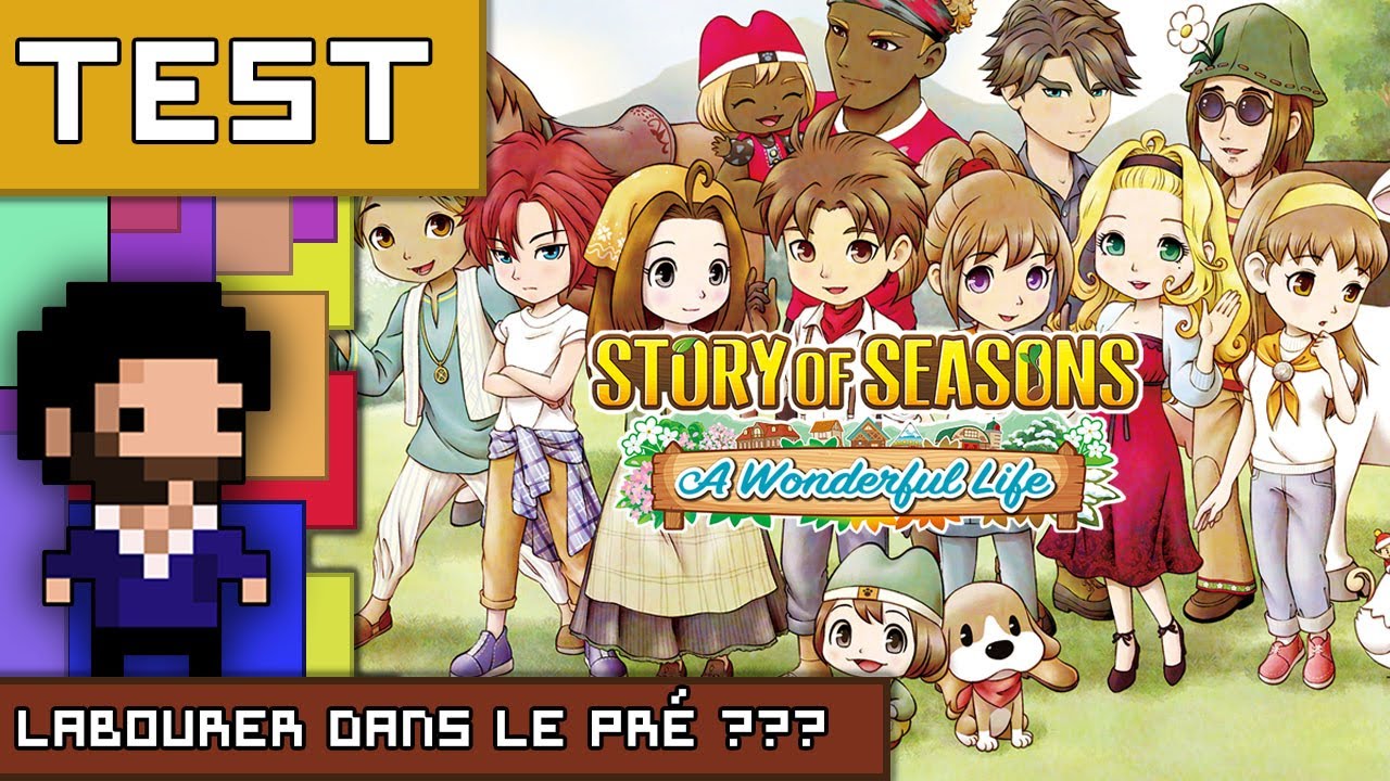 STORY OF SEASONS A WONDERFUL LIFE : Labourer dans le pré ???