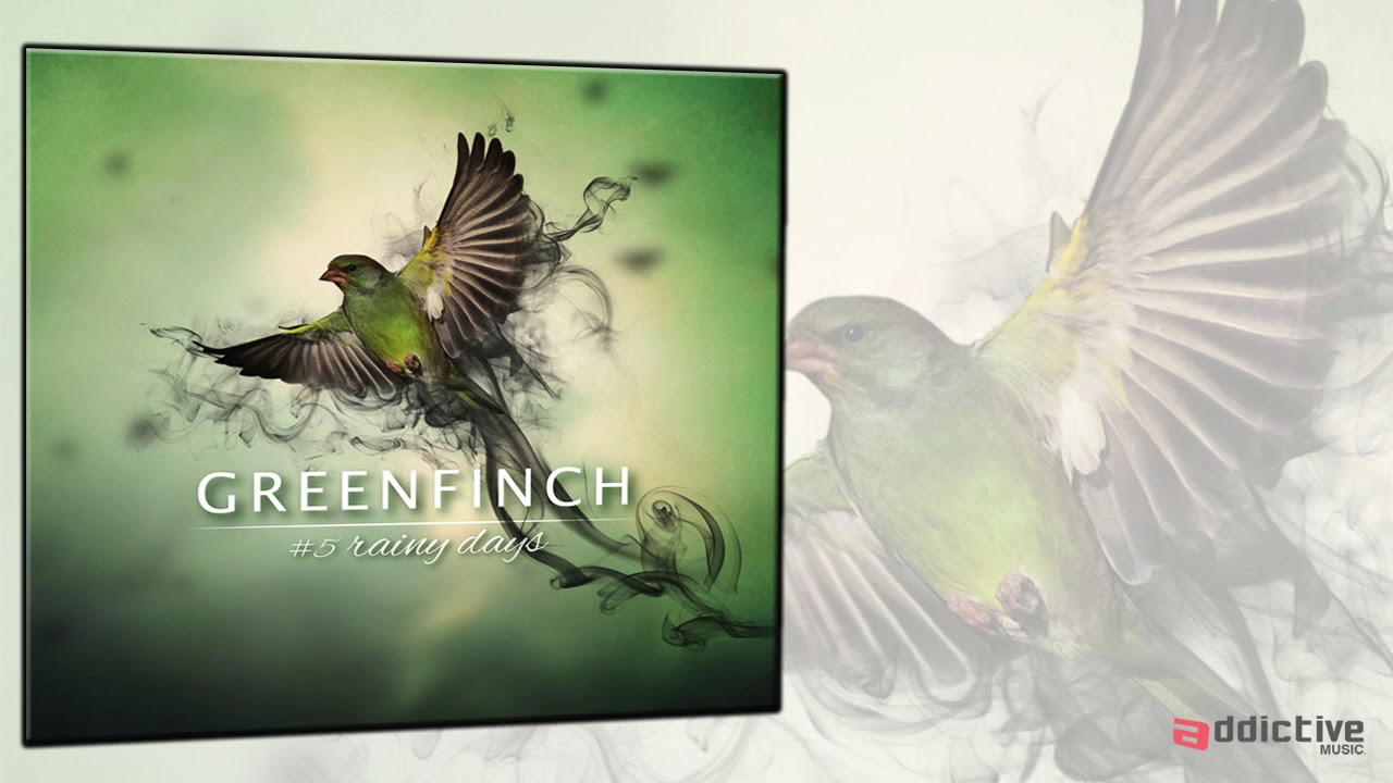 Greenfinch - Rainy Days [From Soul to Souls / Album 2019]