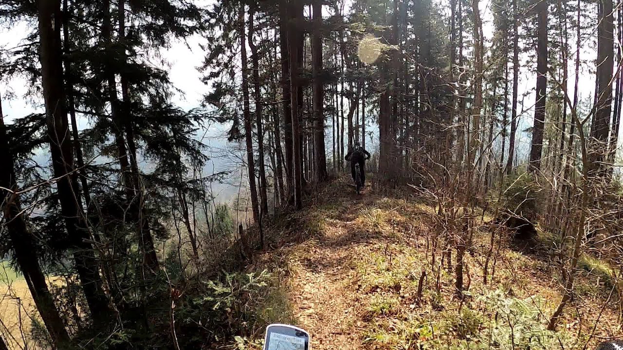 MTB JUST 4 FUN  - Höhronen  Enduro - Long