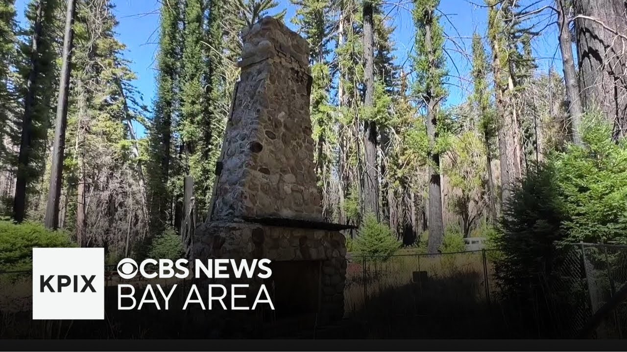 Plans to rebuild Big Basin State Park to focus on nature