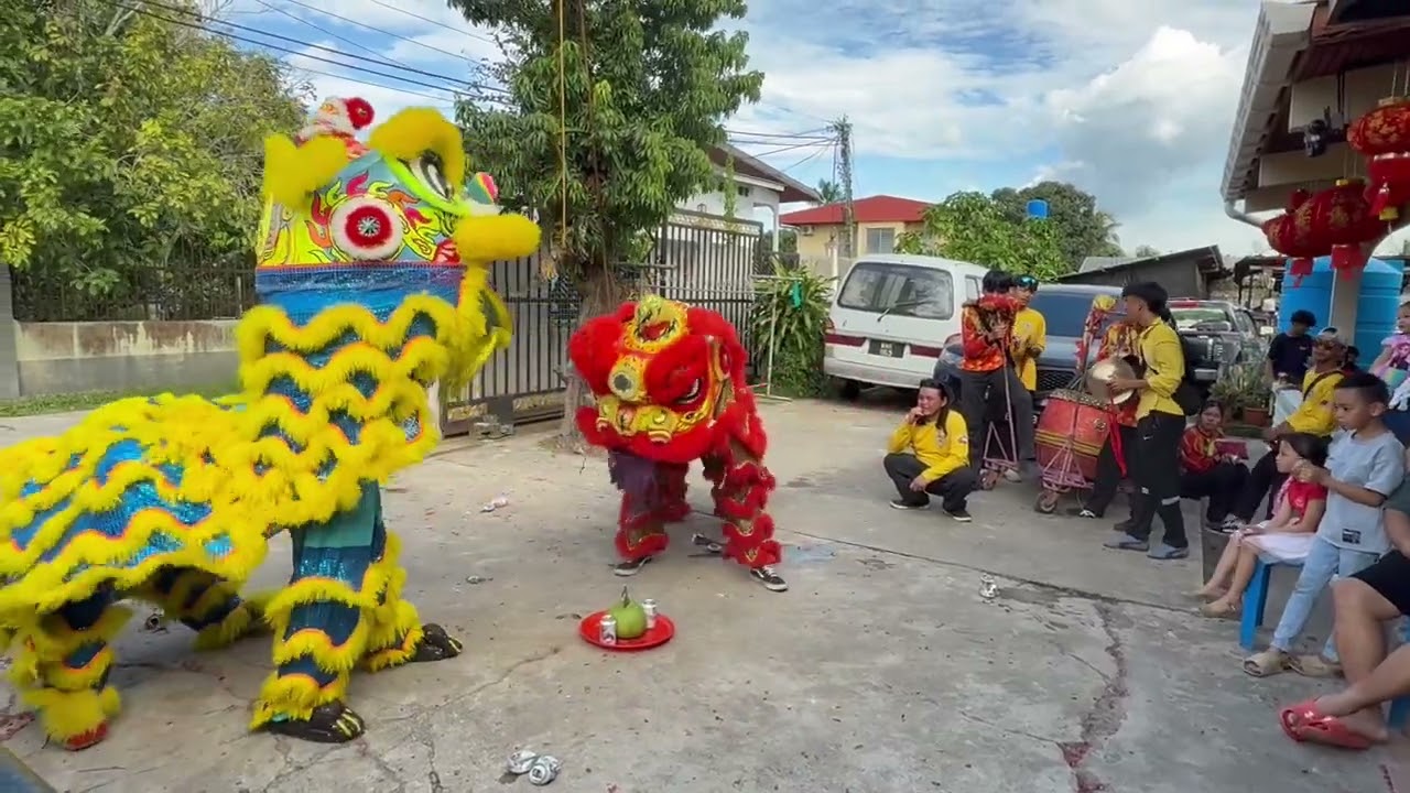Lion Dance 1st of CNY 2026 Gong Xi Fa Cai!!