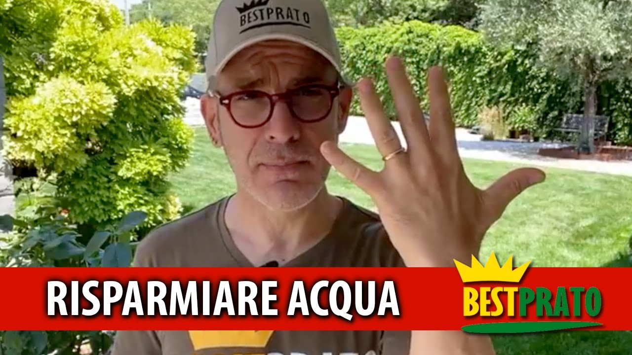 5 Consigli per RISPARMIARE ACQUA nell'irrigazione del Prato
