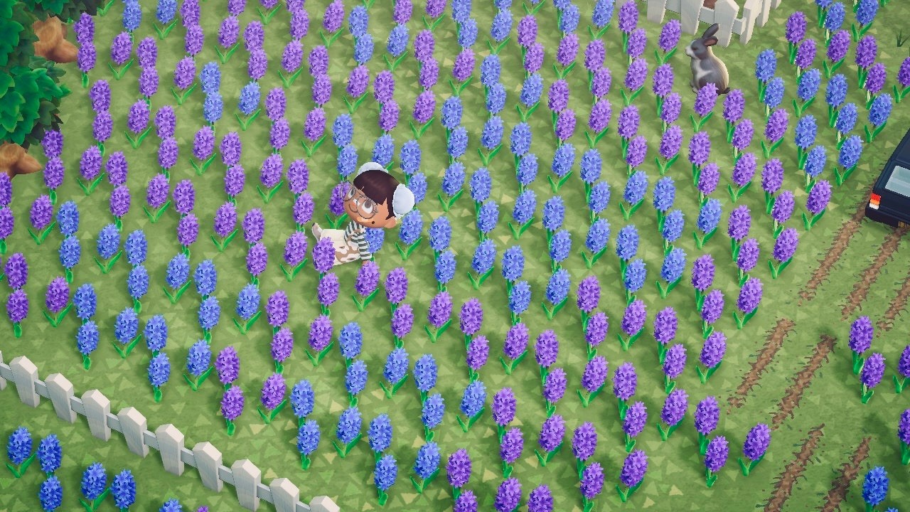 tidying up my forever island 😌💕