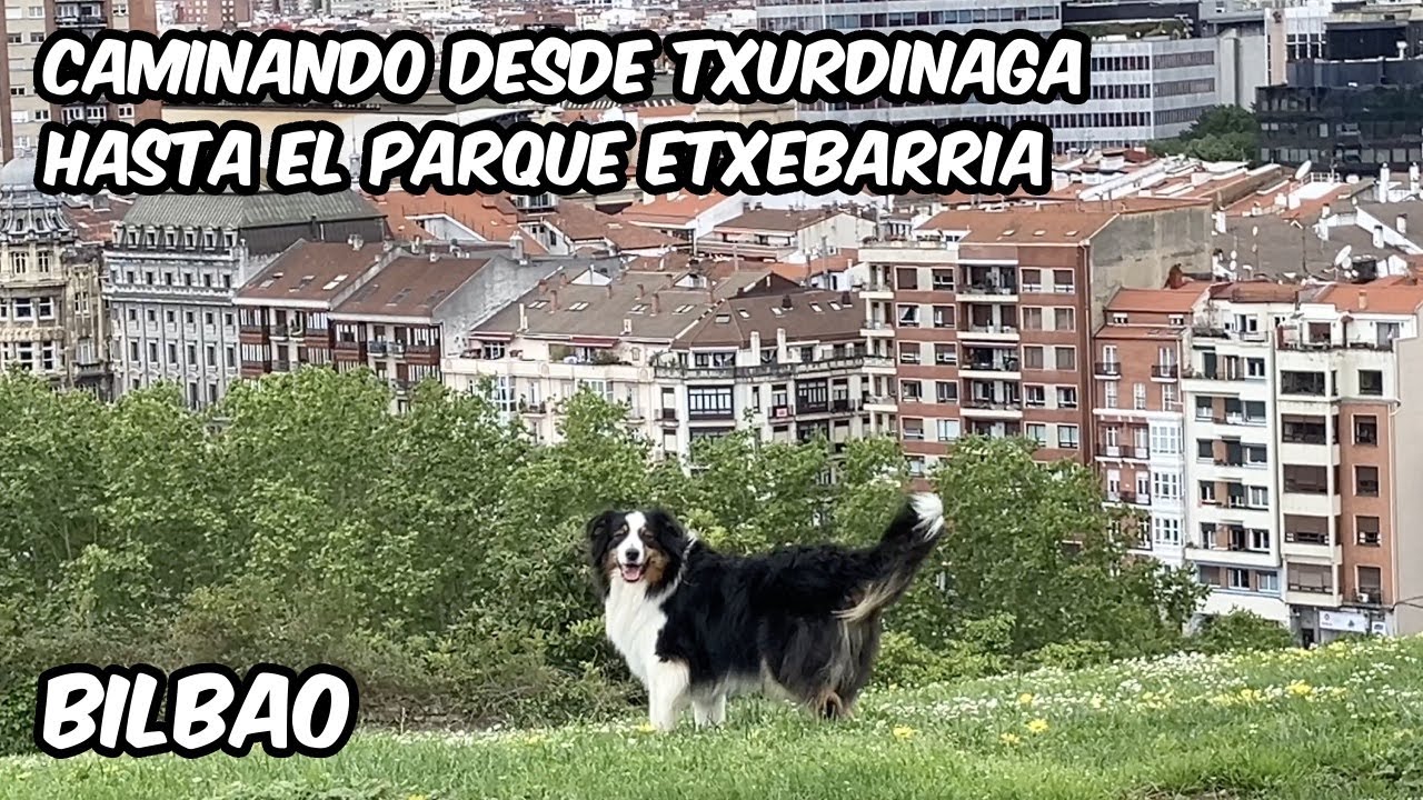 Caminando desde Txurdinaga hasta el Parque Etxebarria. Bilbao Walk. 06 Mayo 2024.
