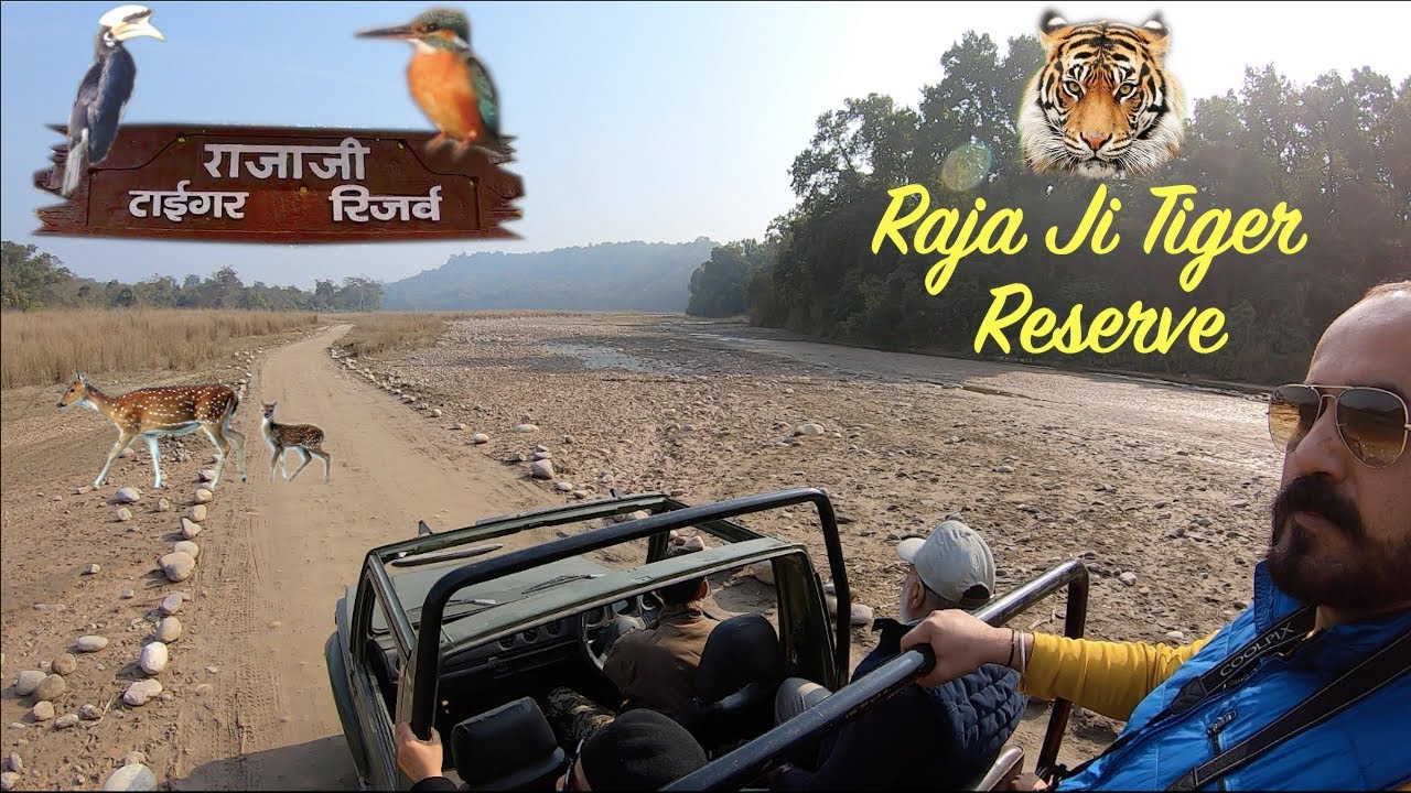 Rajaji Tiger 🐯 Reserve