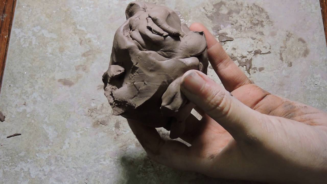 Sculpting a Hollow Bird Skull Pt.1