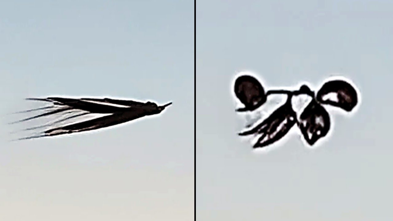 This Man Just Captured The Clearest UFO Footage Ever While On A Plane