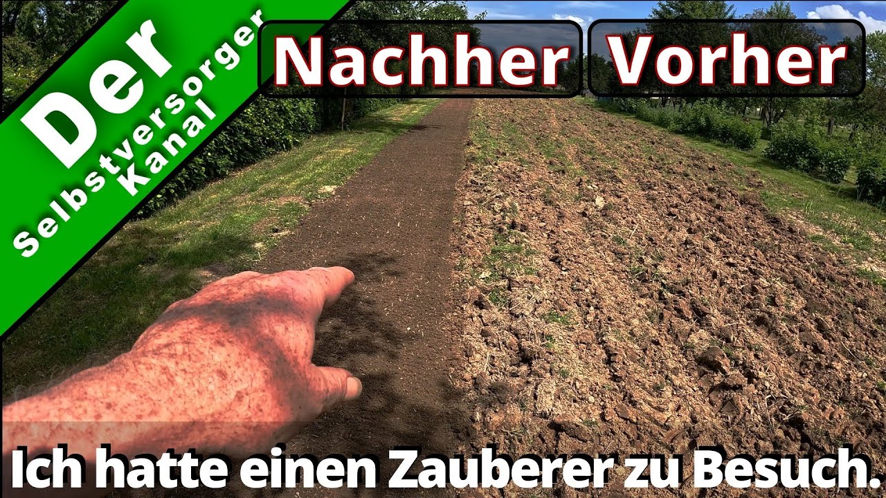 Es gibt noch Wunder auf dieser Welt. Jetzt kann es losgehen.