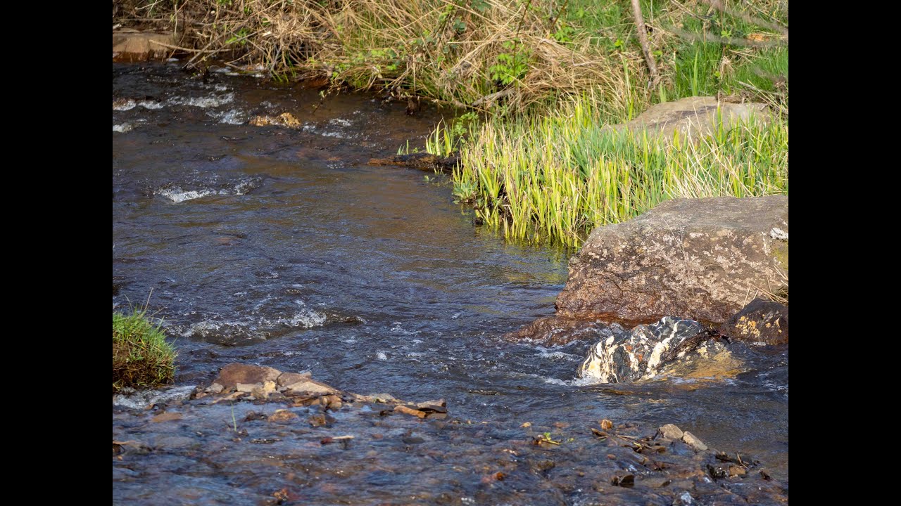 Bibertal bei Rüthen #warstein