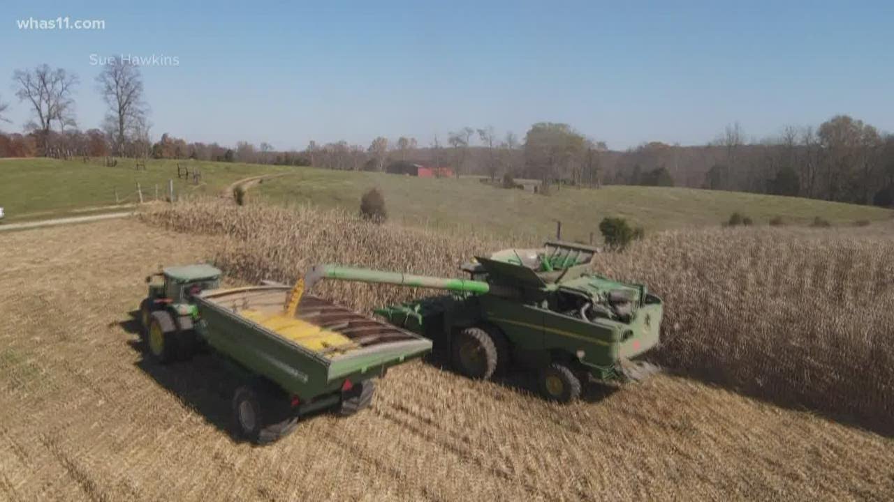 Community comes together to help widowed farmer harvest 300 acres