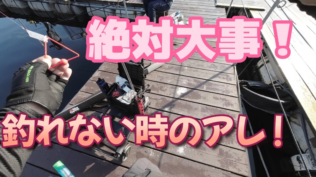 海上釣り堀　釣れない時は、絶対やってみて！