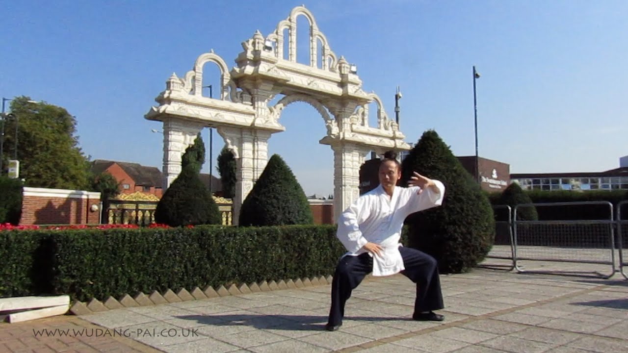 Wudang Pai 36-step Tai Chi by Master Yuan Li Min