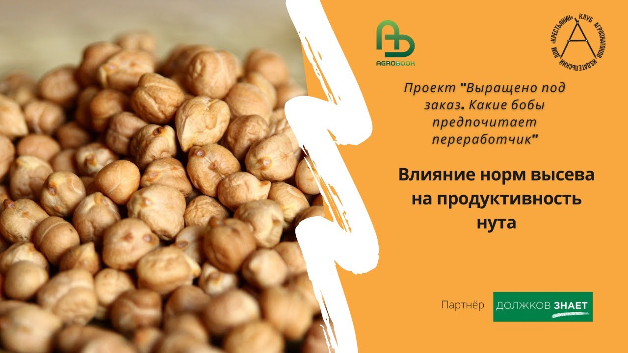 Влияние норм высева на продуктивность нута. Профессор ДонГАУ Константин Пимонов