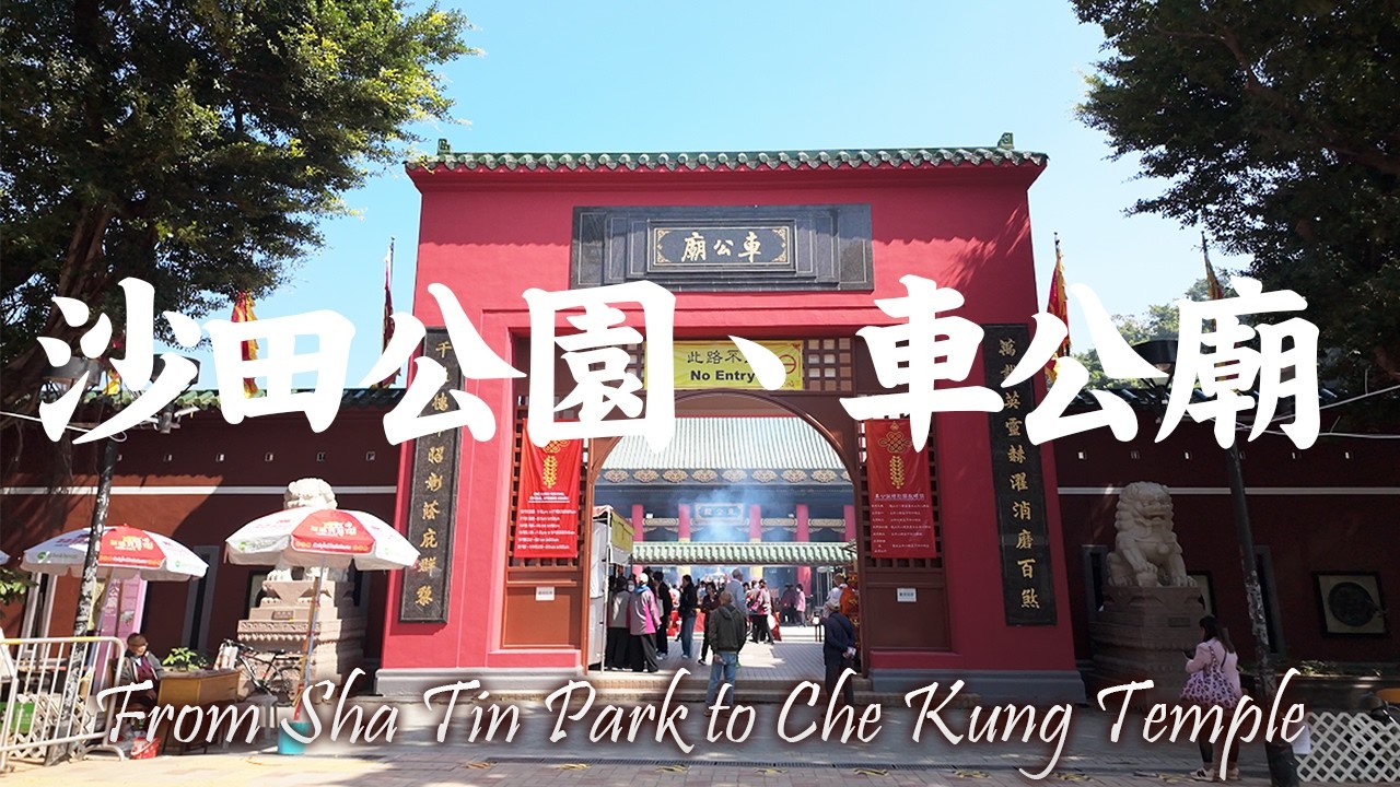 Sha Tin Park to Che Kung Temple Walking Tour 2026 | Cherry Blossoms + Lunar New Year Vibes 沙田公園+車公廟