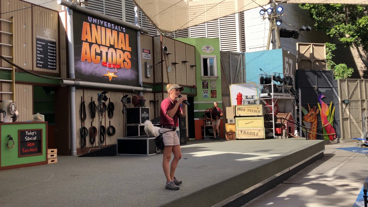 Animal Actors Universal Studios Hollywood July 2018