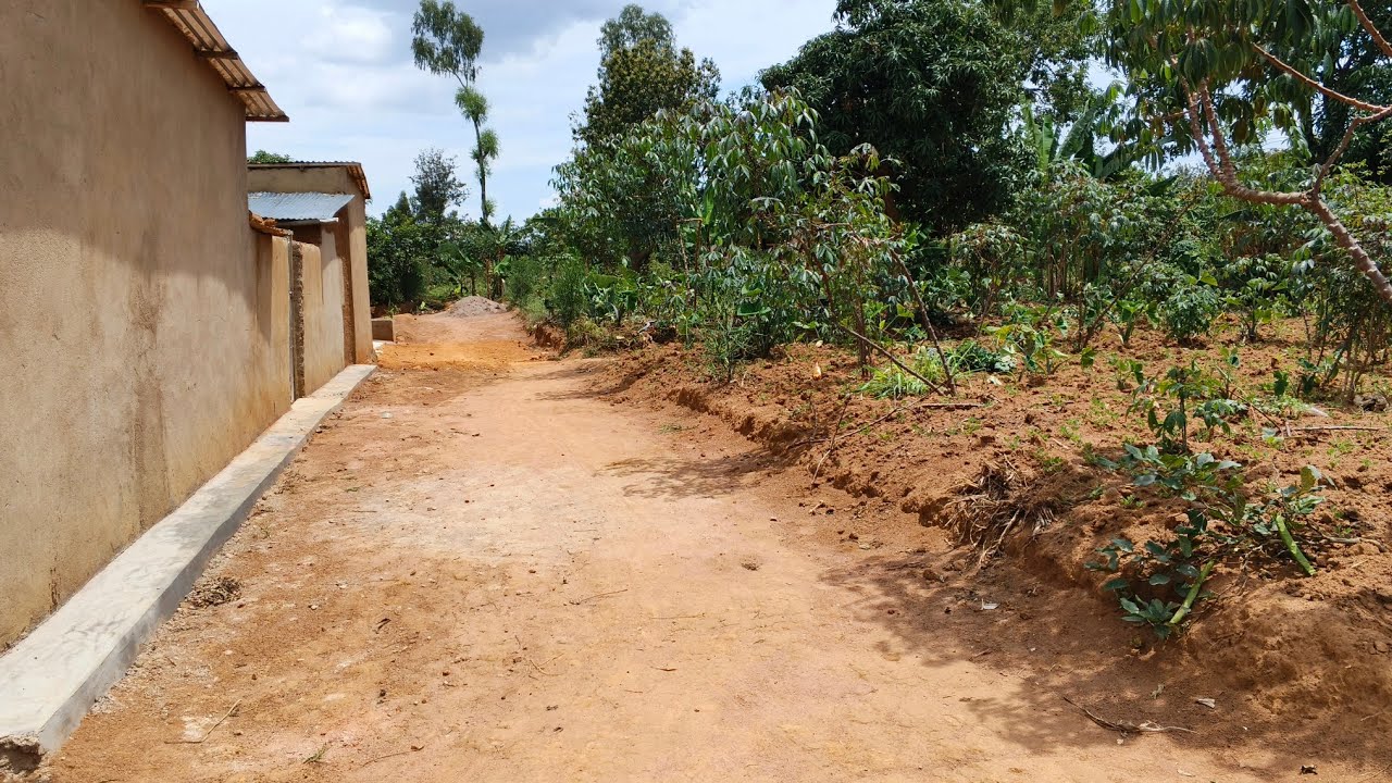 WAGIRANGO NICYAMUNARA IBIBANZA BINE !!! BIRYOGO MAYANGE BUGESERA 35M# 1,400Sqm !