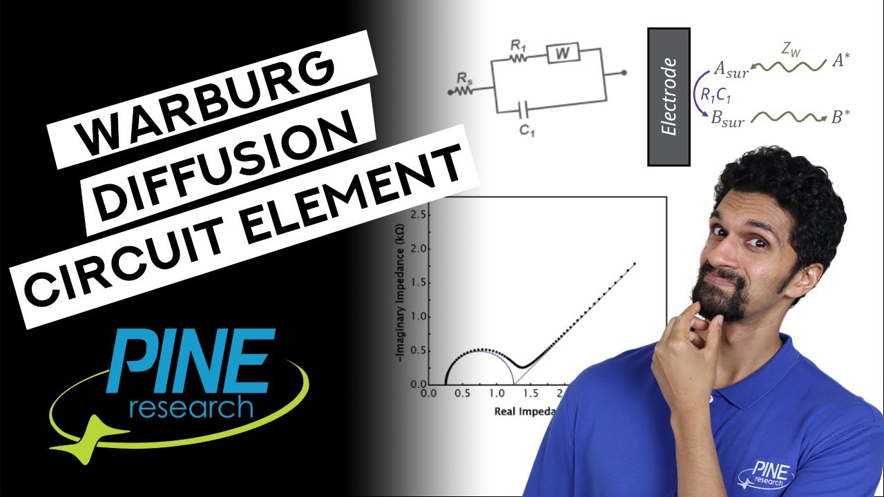 Infinite vs. Finite Warburg Diffusion