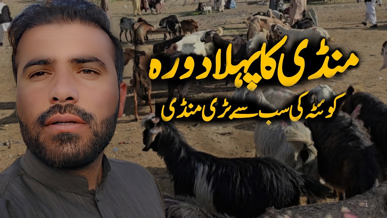 Mandi Ka Tour | Hamza Farm Life