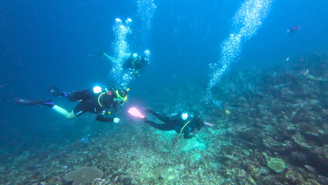 Scuba Diving Gili Air | December 2025 | Indonesia 🇮🇩