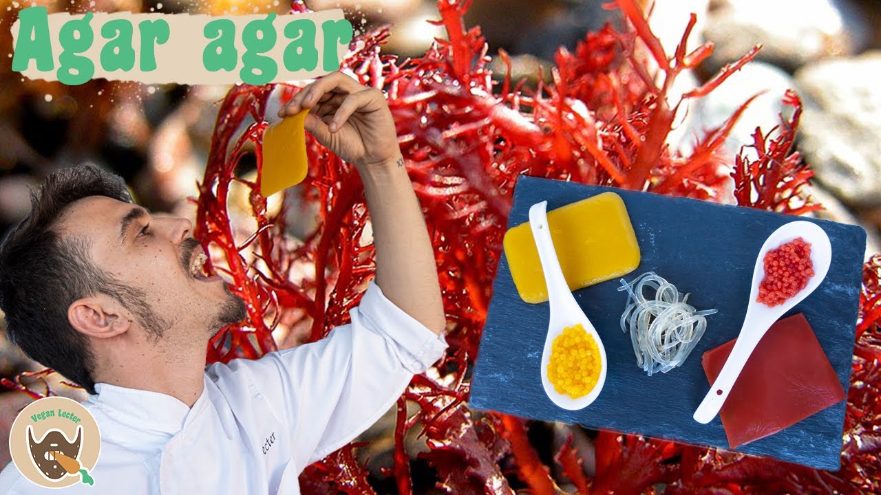 El AGAR AGAR como usarlo |  FALSO CAVIAR y VELO