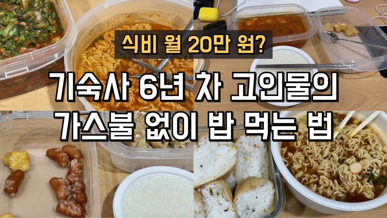 기숙사 밥? 6년차 고인물의 전자레인지로 살아남은 식단법 자취요리