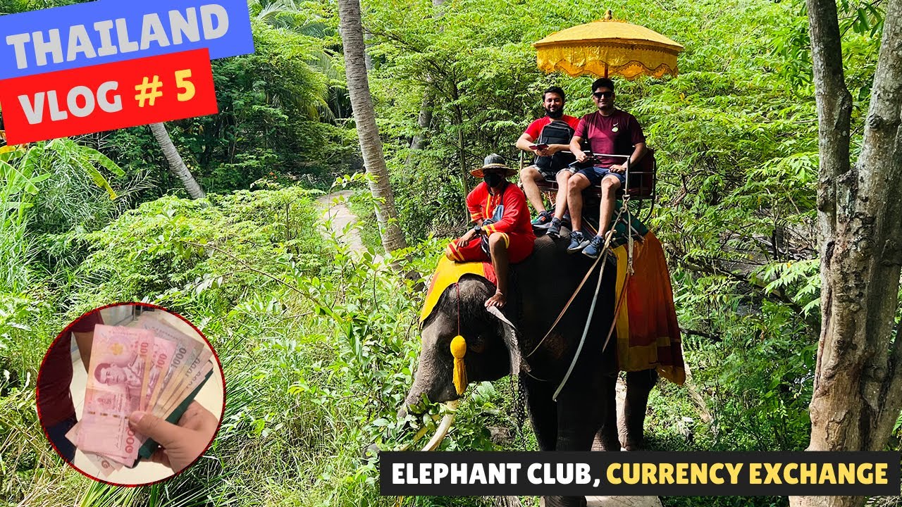 Feel Like A Mughal 😉While Elephant Riding In Bangkok Thailand | USD to BHAT | Travel With Adil