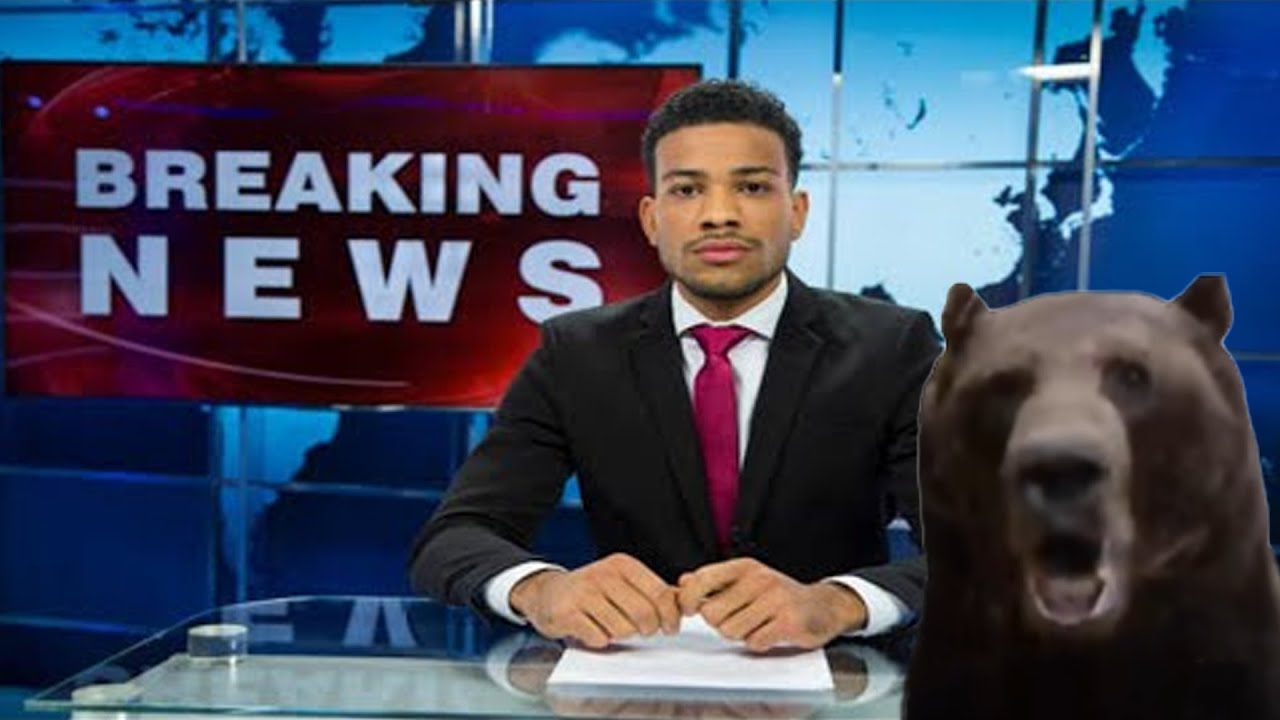 DAWG WATCHES NEWS RELEASE - (MightyPoot)
