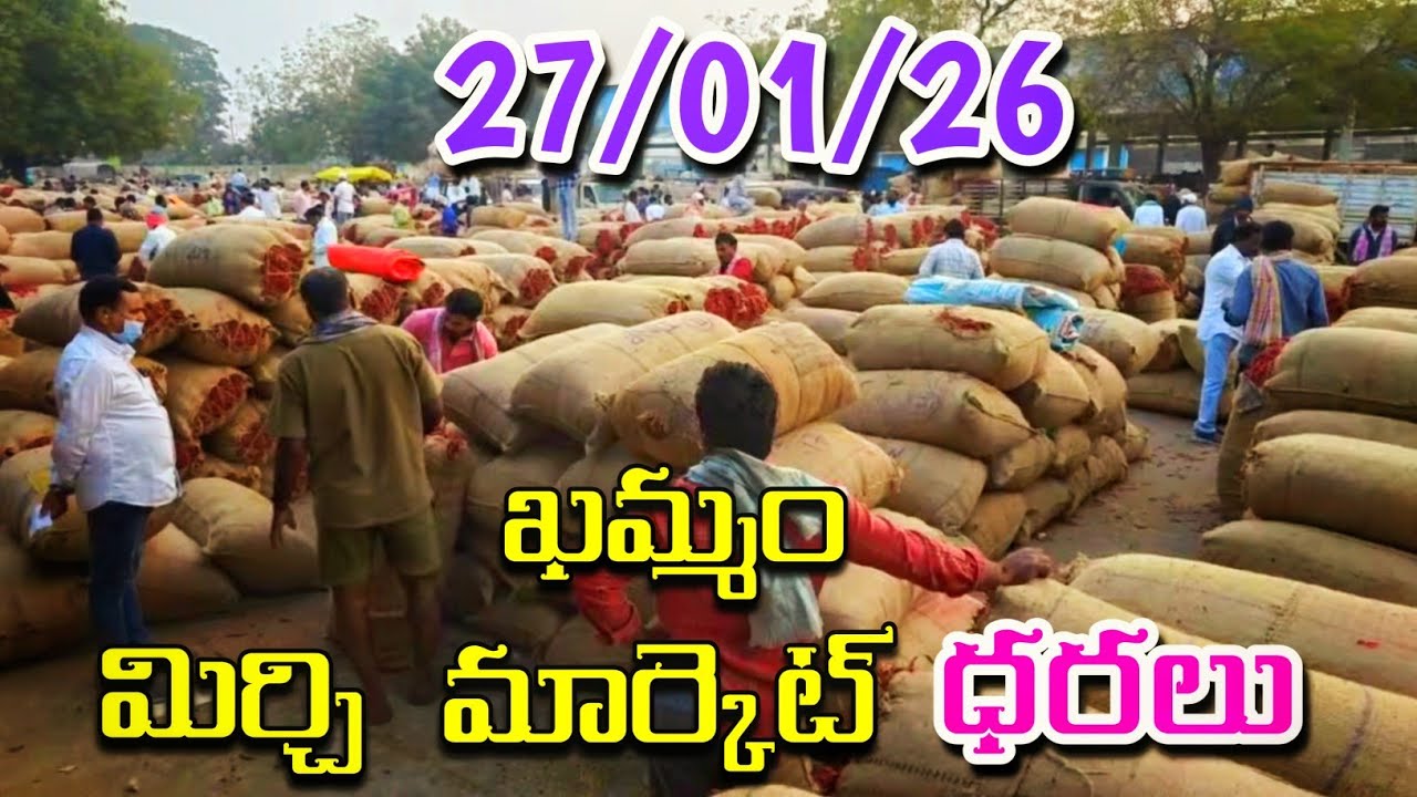 KHAMMAM MIRCHI MARKET AND COTTON TELANGANA RYTHU is live