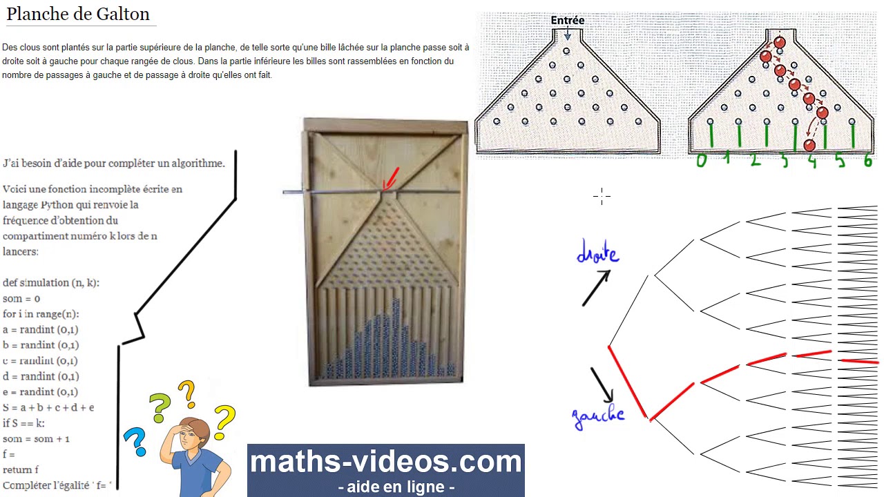 python - planche de Galton   -aide en ligne maths-videos - TSpé