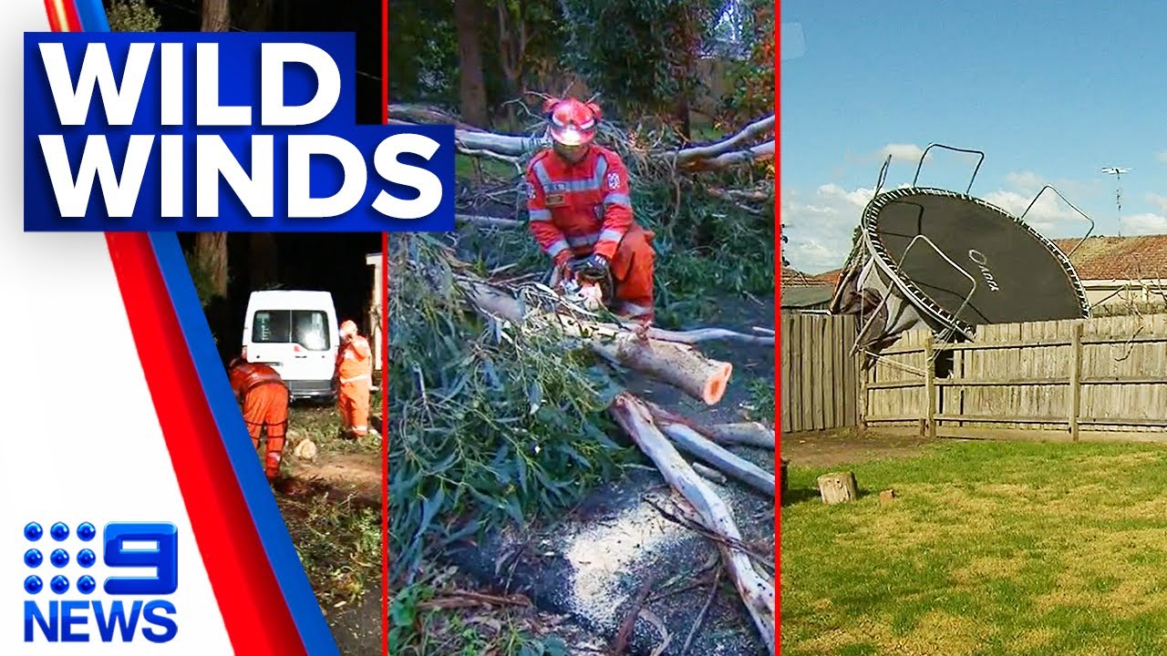 Destructive winds tear down trees and powerlines in Victoria | 9 News Australia