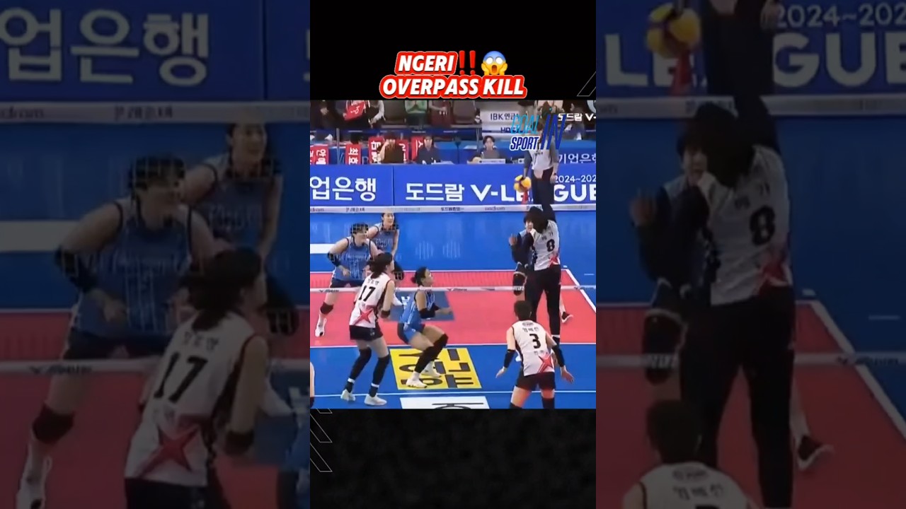 Overpass kill Mega 😱 Redsparks VS IBK Altos #megawatihangestri #ligavolikorea #volleyball