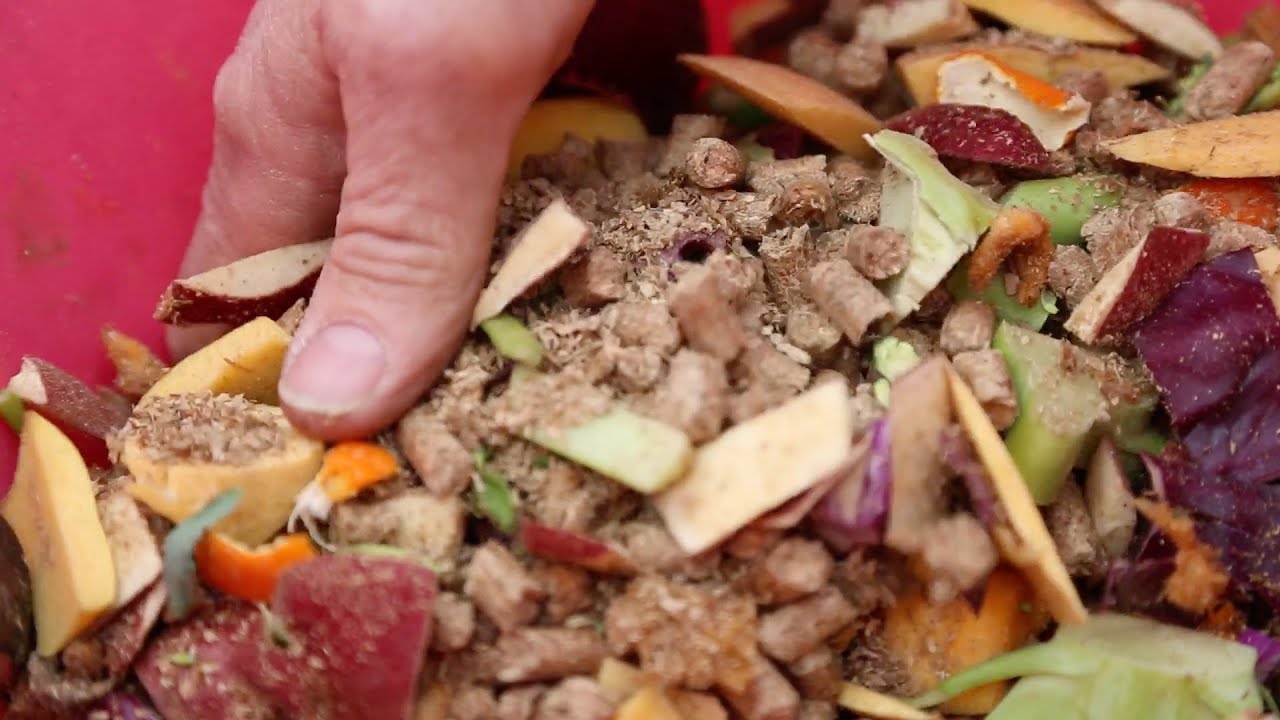 Composting Food Waste